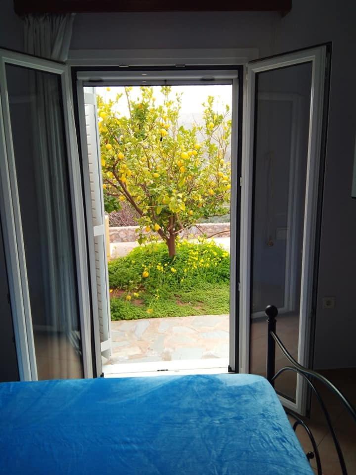 Alkioni Sea View Apartment ซาครอส ภายนอก รูปภาพ